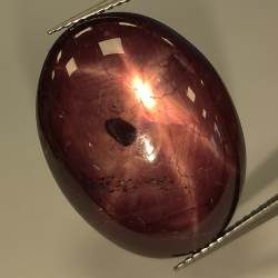 Cabochon ovale Rubis étoilé 35,06 ct 23,06x17,51 mm