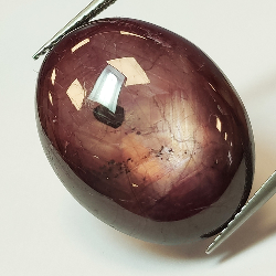 Cabochon ovale con rubino stellato da 35,06 ct, 23,06x17,51 mm