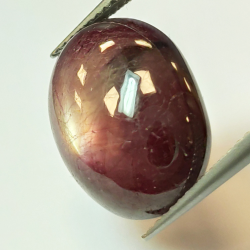 19.14ct ovaler Sternrubin-Cabochon, 16.97x13.09mm