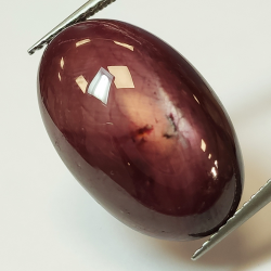 Cabochon ovale Rubis étoilé 25,35 ct 25,35x12,93 mm