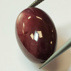 25.35ct Star Ruby oval cabochon 25.35x12.93mm