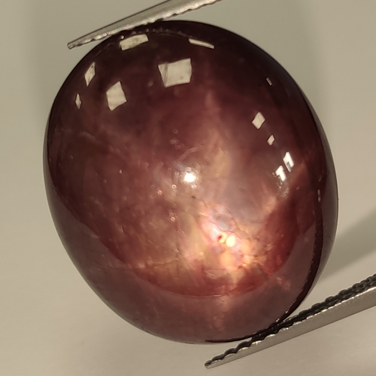 Cabochon ovale Rubis étoilé 24,11 ct 18,85x15,74 mm