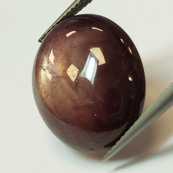 Cabochon ovale con rubino stellato da 24,11 ct, 18,85x15,74 mm