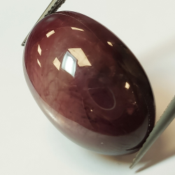 Cabochon ovale Rubis étoilé 42,80 ct 23,50x15,64 mm