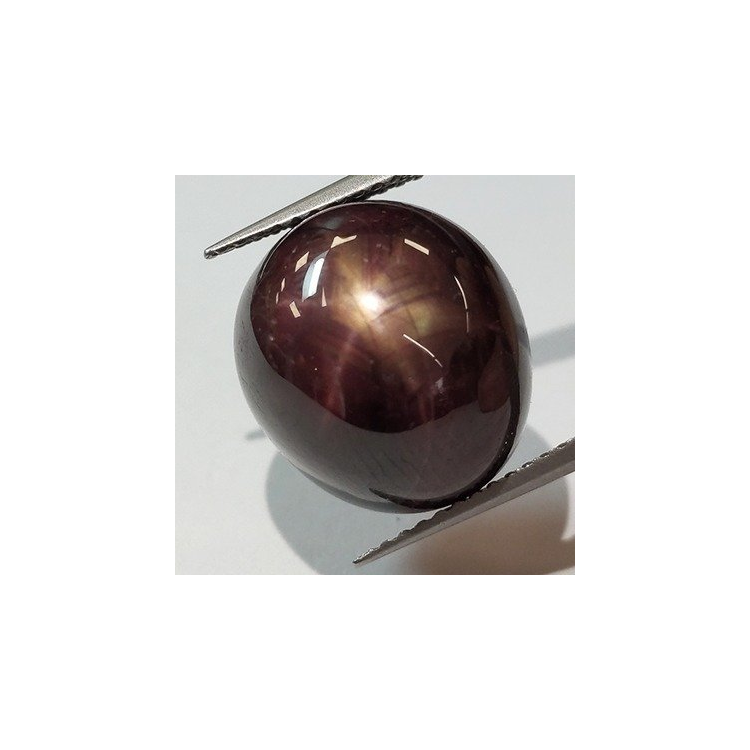 Cabochon ovale Rubis étoilé 20,91 ct 13,78x12,47 mm