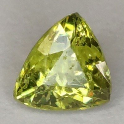 0,47 ct Demantoid-Granat im Trilliantschliff, 4,45 x 4,41 mm