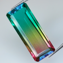 13,81ct Quarzo triplo 25,10 x 10,27 mm