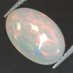 1,57ct Ópalo talla oval 10,8x7,5 mm
