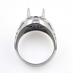 DIY Ringe