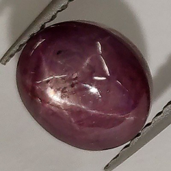 3,23 ct Ovaler Sternrubin 7,59 x 6,36 x 5,41 mm