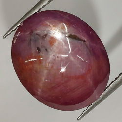 14,15 ct Ovaler Sternrubin 14,53 x 12,18 x 7,25 mm