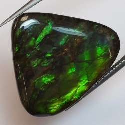 24.12 ct Ammolita 26,1 x 22,2 x 5,0 mm