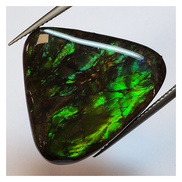 24.12 ct Ammolita 26,1 x 22,2 x 5,0 mm
