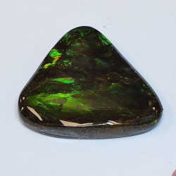 24.12 ct Ammolita 26,1 x 22,2 x 5,0 mm