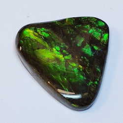 24.12 ct Ammolita 26,1 x 22,2 x 5,0 mm