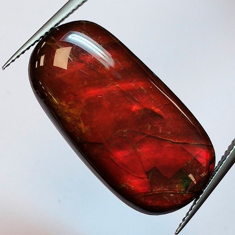 14,13 ct Ammolita 26,8 x 14,0 x 4,1 mm