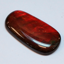 14,13 ct Ammolita 26,8 x 14,0 x 4,1 mm