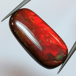 14,13 ct Ammolita 26,8 x 14,0 x 4,1mm