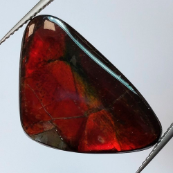 9,69 ct Ammolith 26,0 x 16,6 x 3,0mm