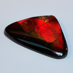 9,69 ct Ammolith 26,0 x 16,6 x 3,0mm