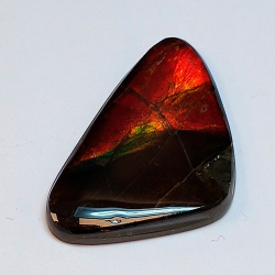 9,69 ct Ammolith 26,0 x 16,6 x 3,0mm