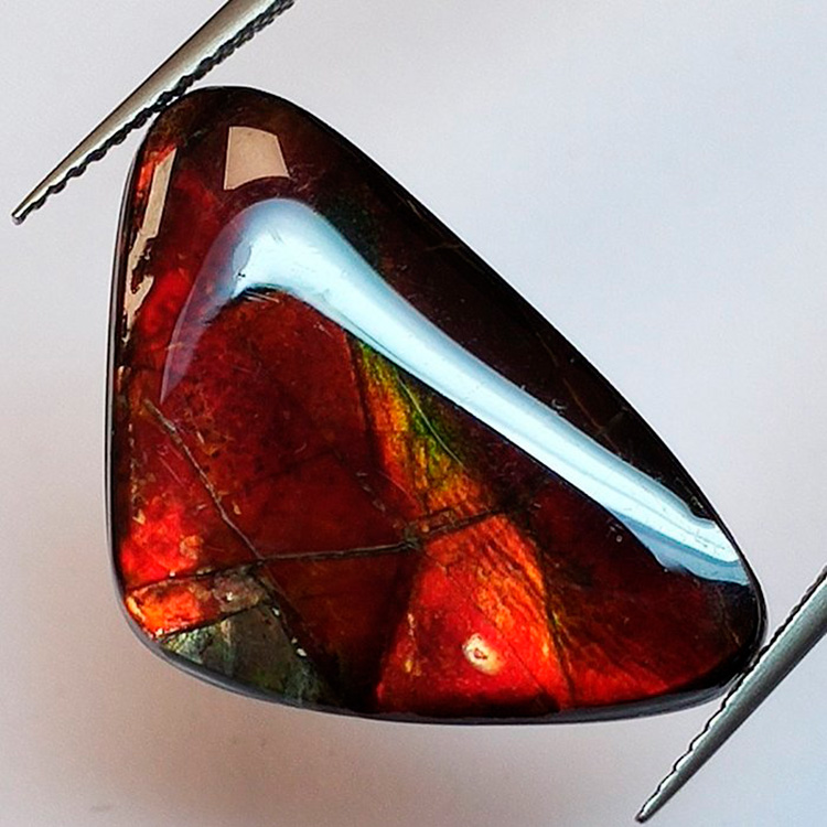 9,69 ct Ammolith 26,0 x 16,6 x 3,0mm