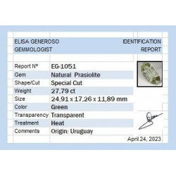 27,79 ct Prasiolite Special Cut 24,91 x 17,26 x 11,89 mm