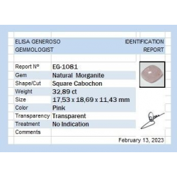 32,89 ct Morganita Cabujón cuadrado 17,53 x 18,69 x 11,43 mm