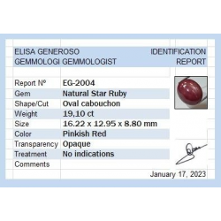 19,10 ct Rubino ovale a stella 16,22 x 12,95 x 8,80 mm