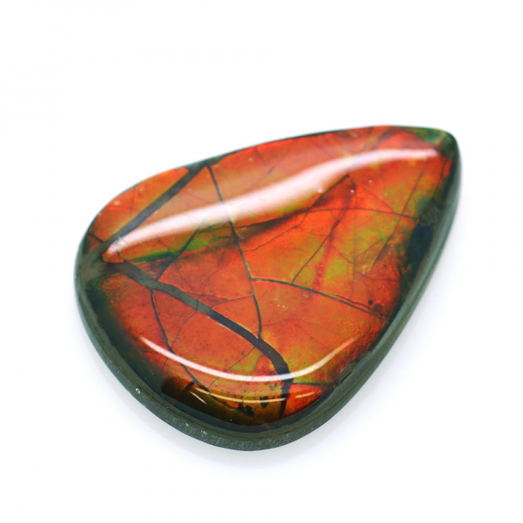 15,17ct Ammolite Double