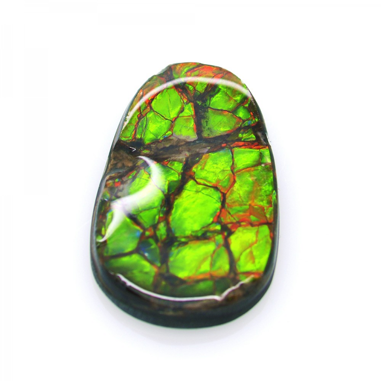 14,21ct Ammolite Double