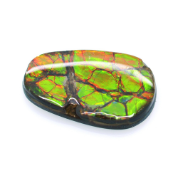 14,21ct Ammolite Double