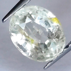 1,55 ct Saphir ovale 7,3 x 5,9 x 4 mm