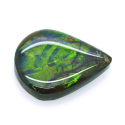 15,03ct Ammolite Double