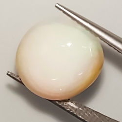 7,18 ct Opale ovale cabochon 15,09 x 12,83 x 7,53 mm