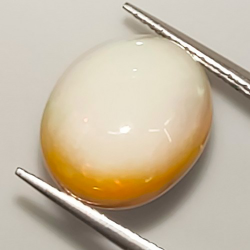 7,18 ct Opal  Oval Cabochon 15,09 x 12,83 x 7,53 mm