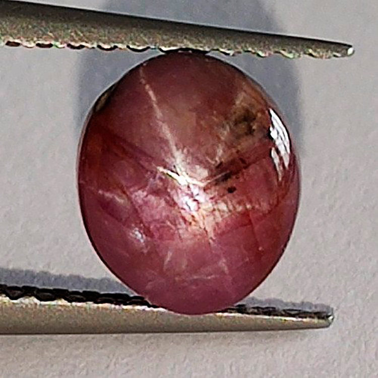 2,44 ct Rubí Estrella Cabujón Oval 7,21 x 7,26 x 4,92 mm