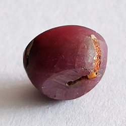 2,44 ct Rubí Estrella Cabujón Oval 7,21 x 7,26 x 4,92 mm