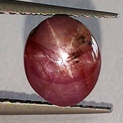 2,44 ct Rubí Estrella Cabujón Oval 7,21 x 7,26 x 4,92 mm