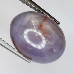 Zaffiro  Stella Cabuchon ovale da 4,98 carati 6,85 x 4,68 x 3,58 mm