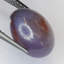 4,98 ct Zafiro Estrella Cabuchón Oval de  6,85 x 4,68 x 3,58 mm
