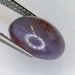 Zaffiro  Stella Cabuchon ovale da 4,98 carati 6,85 x 4,68 x 3,58 mm