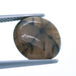 6,61 ct. Quiastolite Cabochon