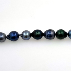 Akoya pearl strand of 5.5 mm with 40 cm of length