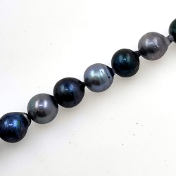 Hilo de perlas Akoya de  5,5 mm con 40 cm de largo