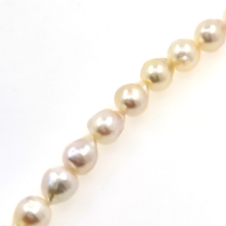 Akoya pearl strand 5,5 mm with 40 cm length