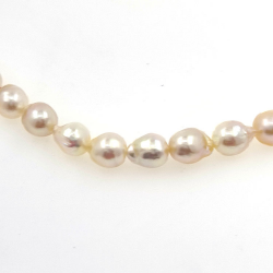 Fil de perles Akoya 5,5 mm d'une longueur de 40 cm