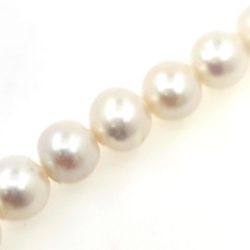 Strand of river pearls of 13 x 12 mmwith 40 cm long