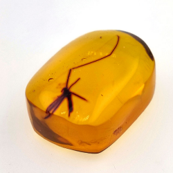 28,61ct Amber with cabochon insect 33 x 27 x 18mm