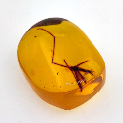 28,61ct Bernstein mit Cabochon Insekt 33 x 27 x 18mm